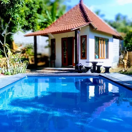 Holygreen Bali